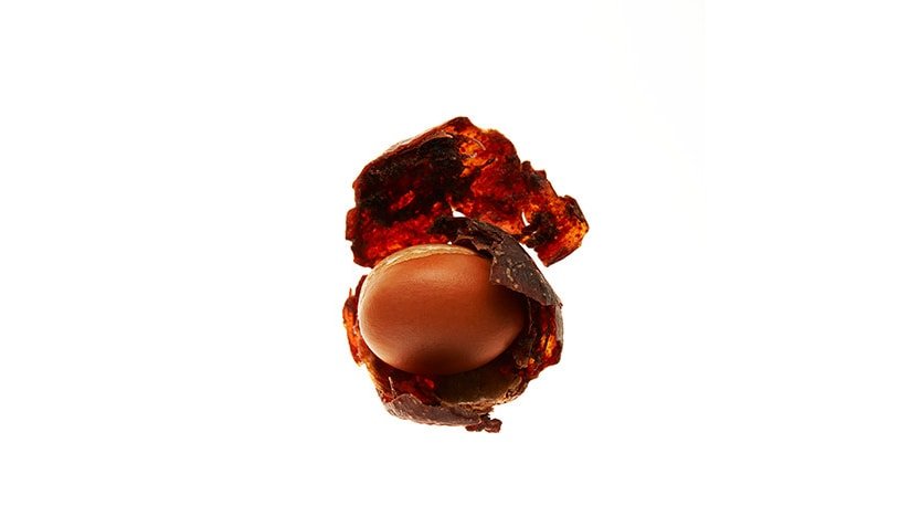 Kerastase Ingredients - Moroccan Argan Oil